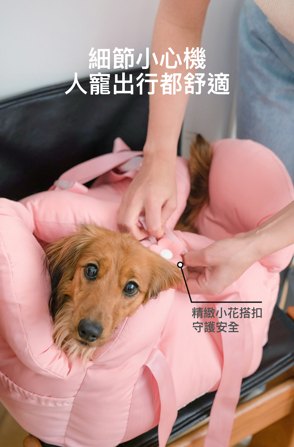 Vetreska 花花寵物外出袋 (可車用)