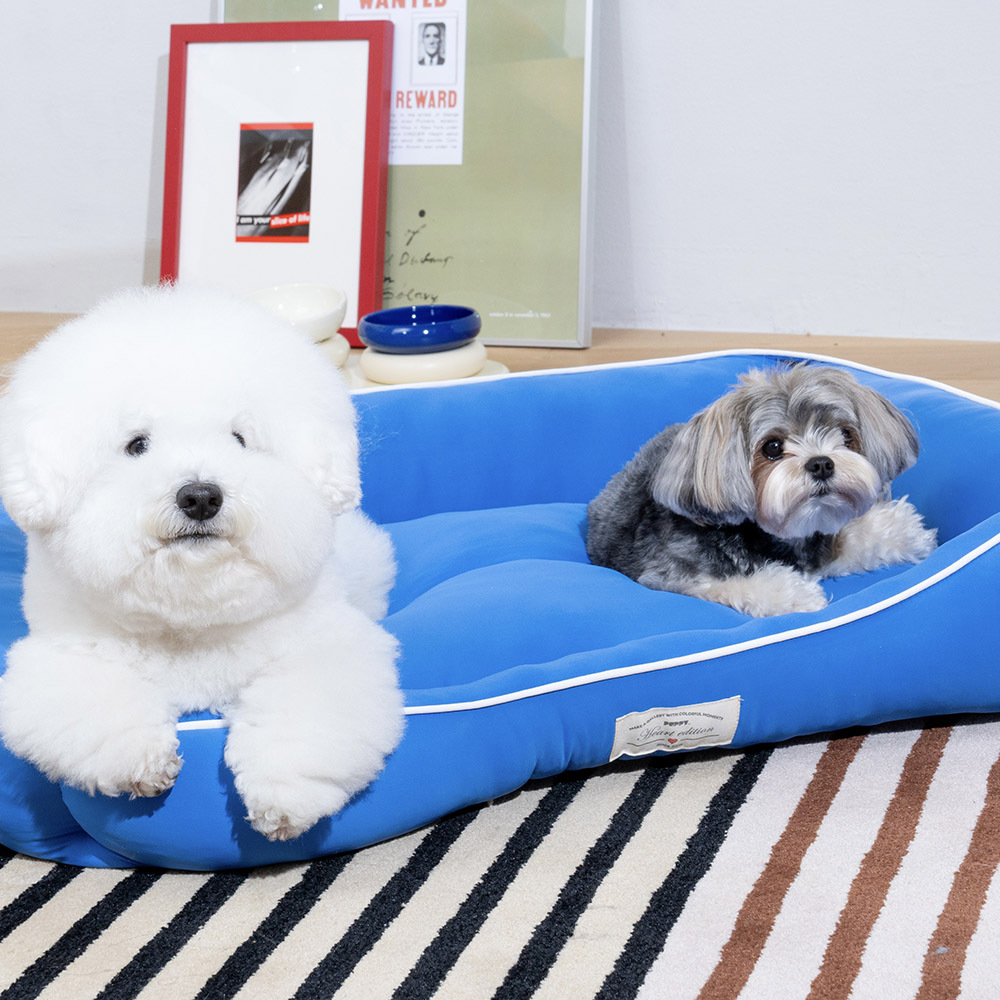 puppygallery｜只想躺平涼感窩 長方形 寵物涼墊