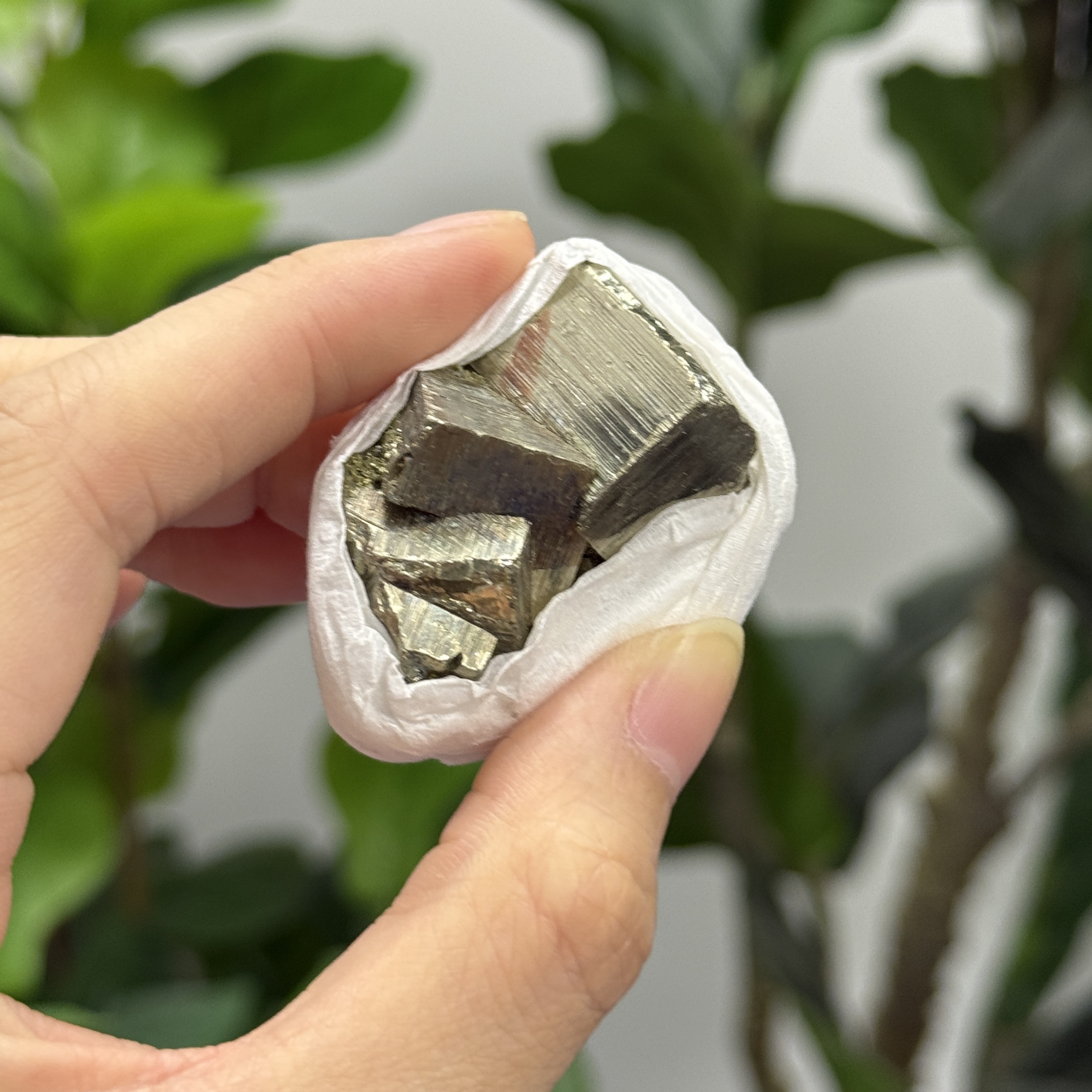 秘魯黃鐵礦 PY1551