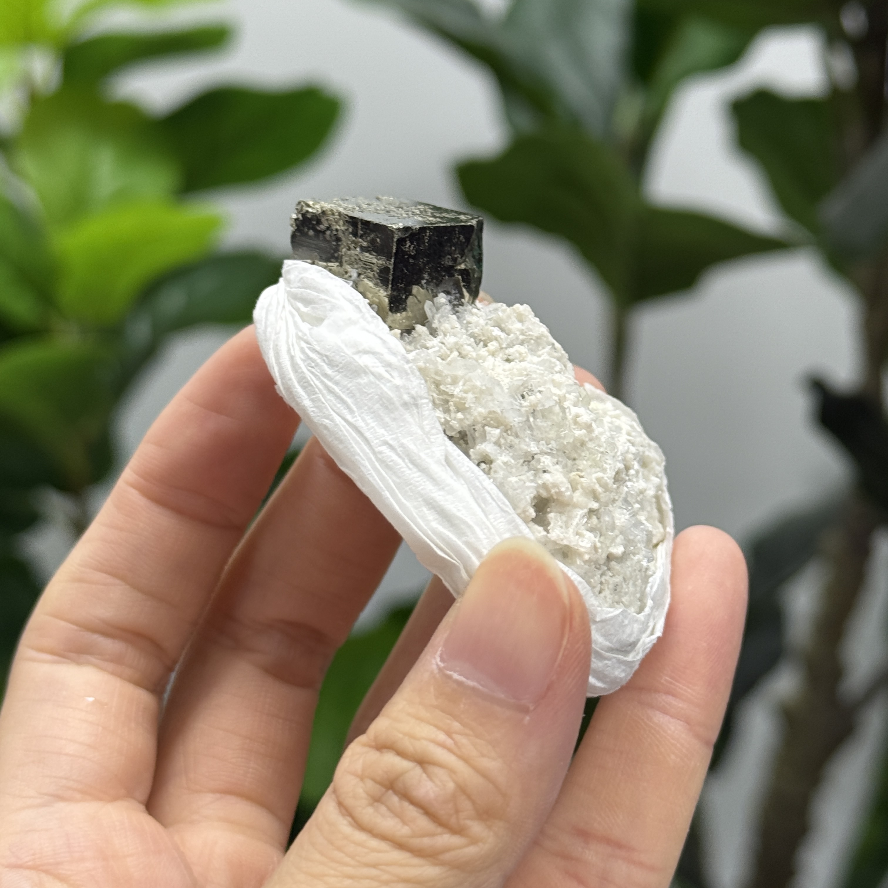 秘魯黃鐵礦 PY1547