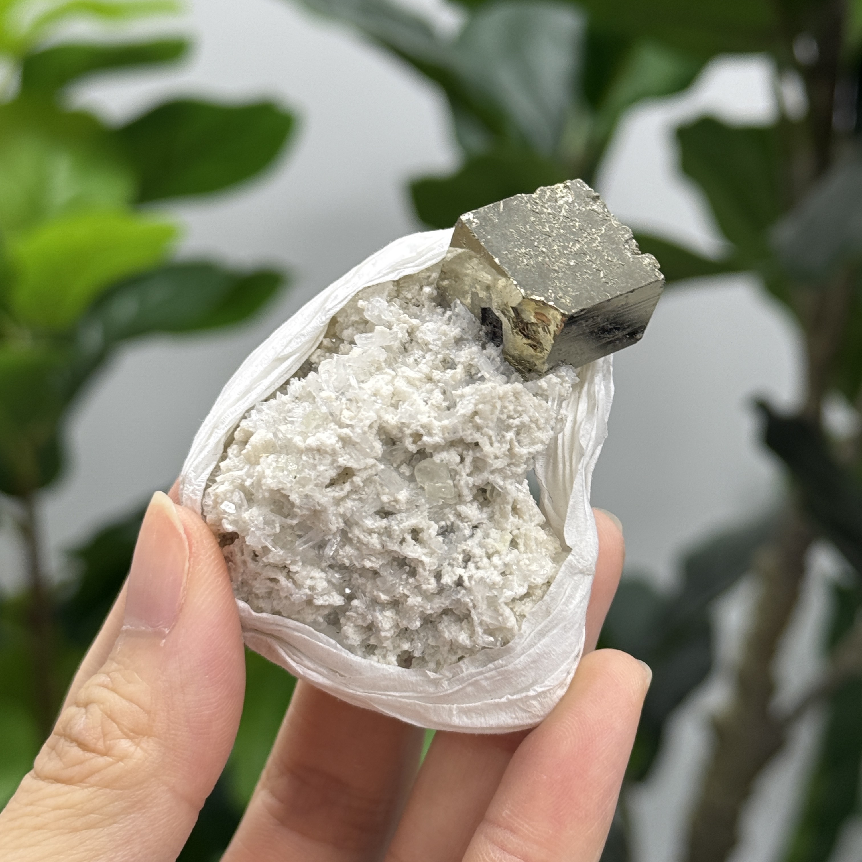 秘魯黃鐵礦 PY1547