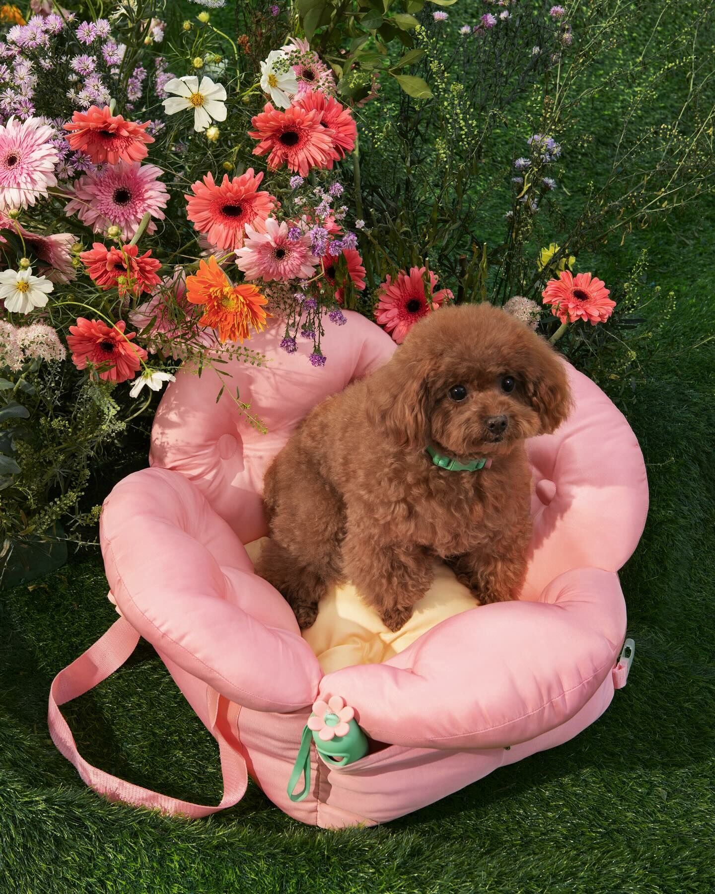 Vetreska 花花寵物外出袋 (可車用)