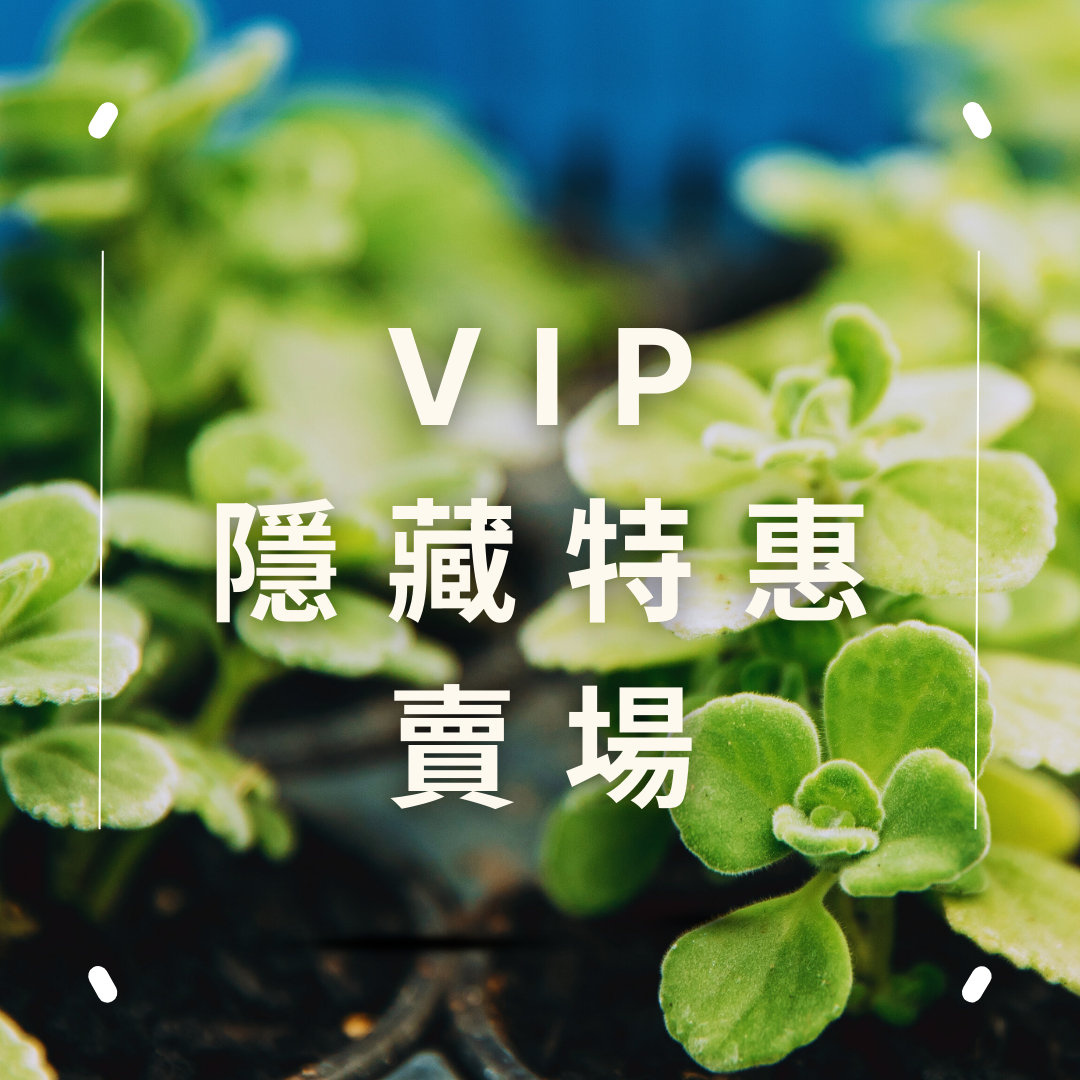 VIP 優惠_專屬賣場