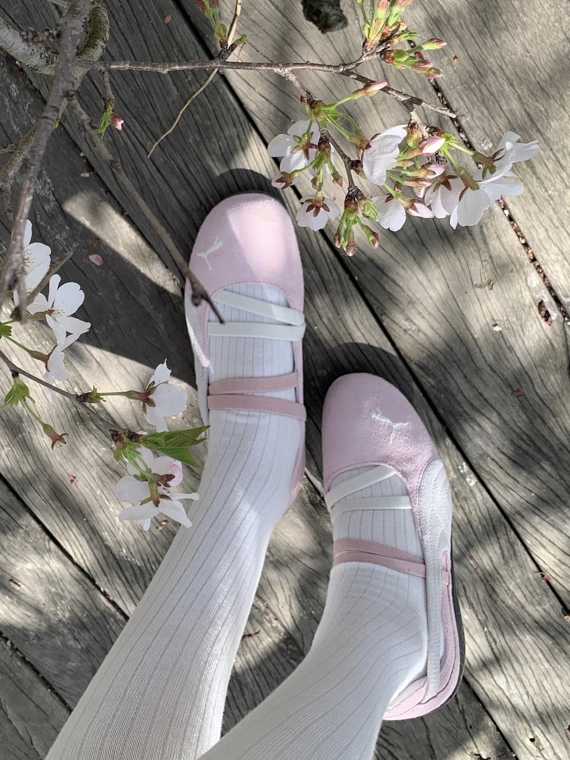 Puma Speedcat Ballet 粉色🩷🩰