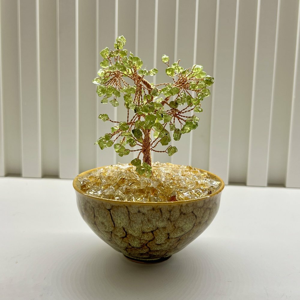 [S] GEMZ & CO HLCT RANDOM ROUND CERAMIC POT PERIDOT TREE, W52 (W52)
