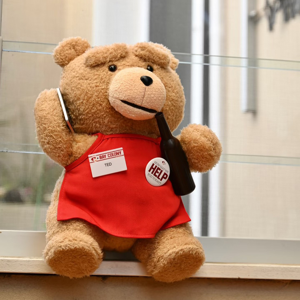 POPMART POP MART 泡泡瑪特 Ted2-泰迪熊可動毛絨玩偶 磁吸 公仔