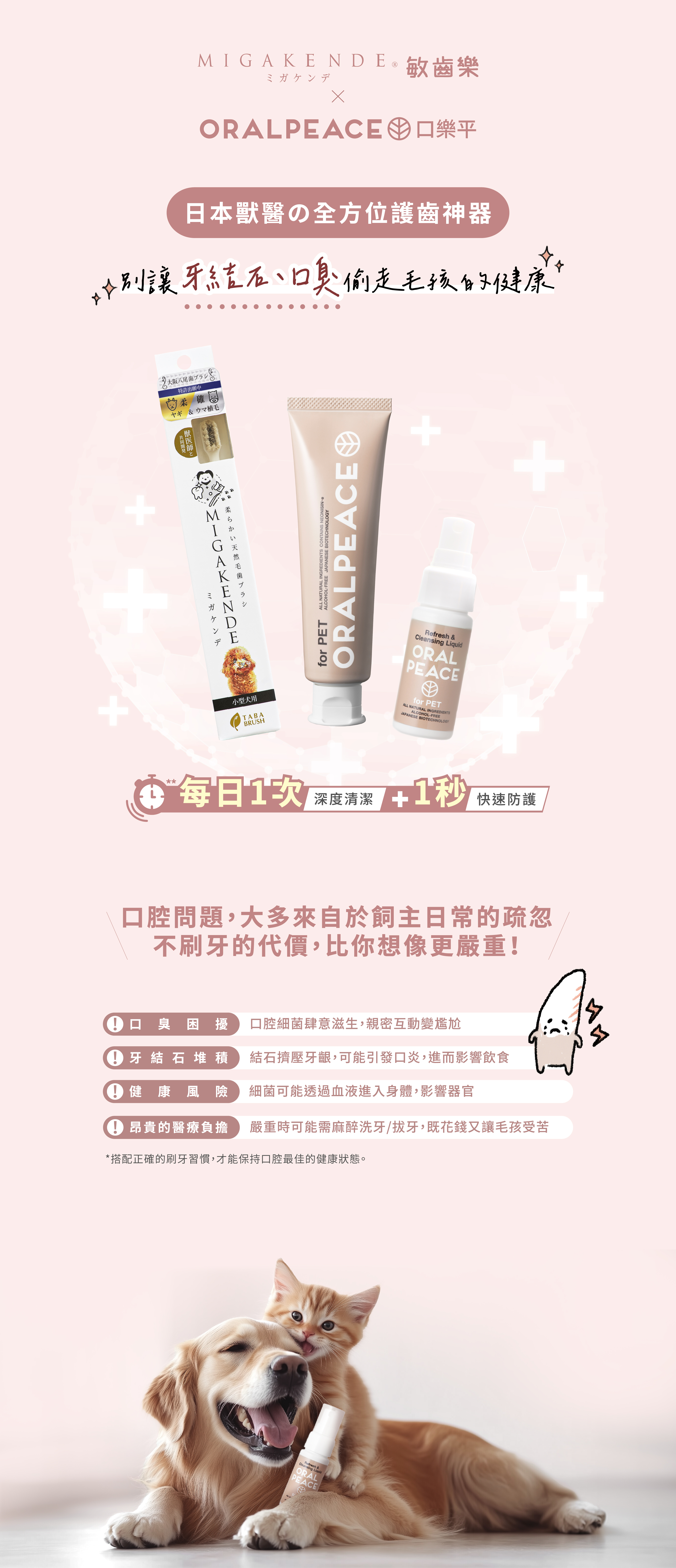 寵物 口腔 保健 優惠