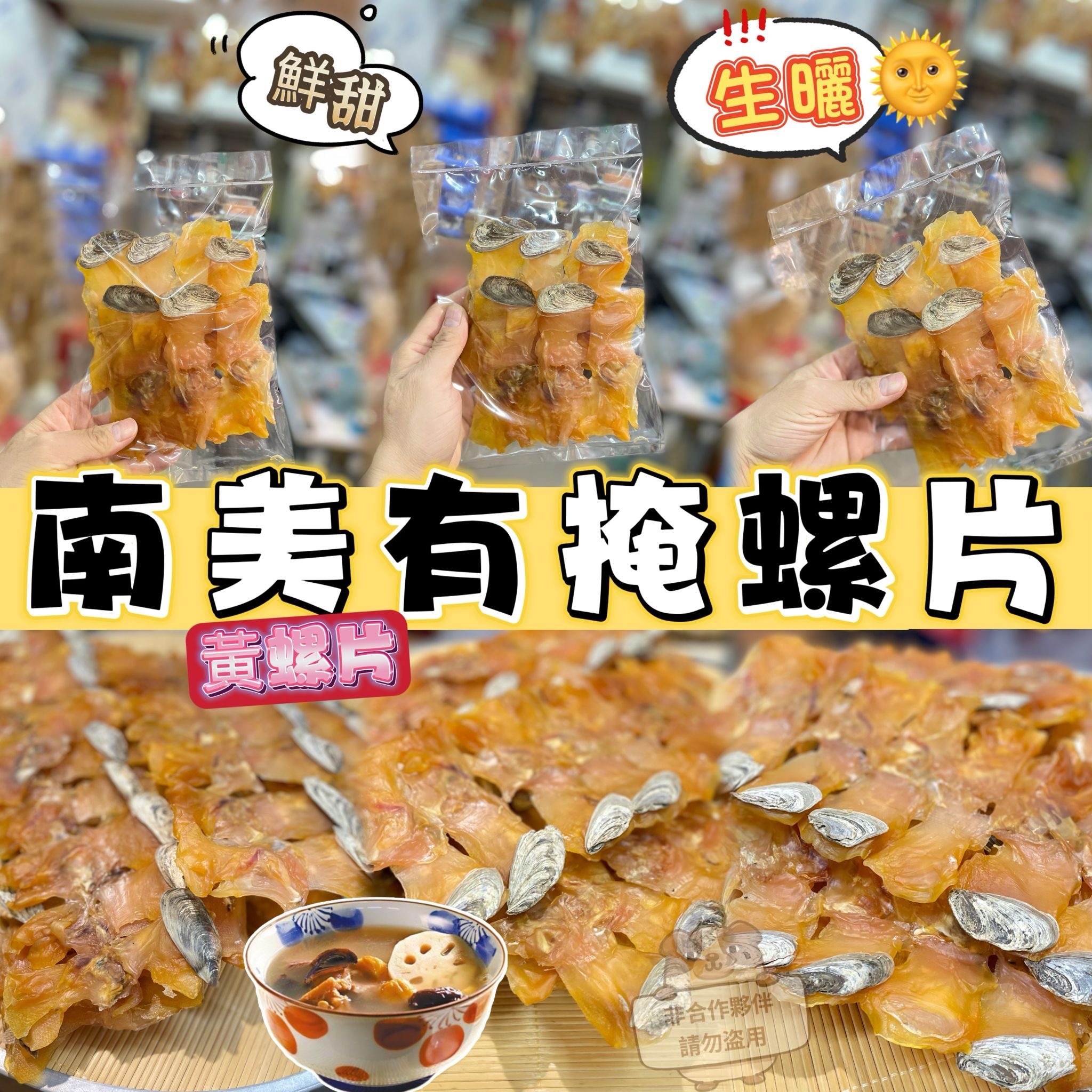 南美洲天然生曬有掩螺片L size