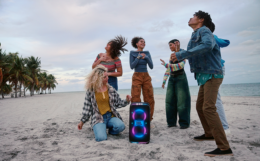 Portable design with handle