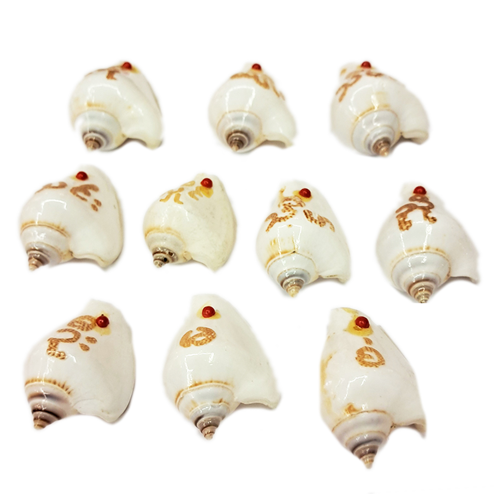 印尼寺院加持法螺3公分【十方】138486