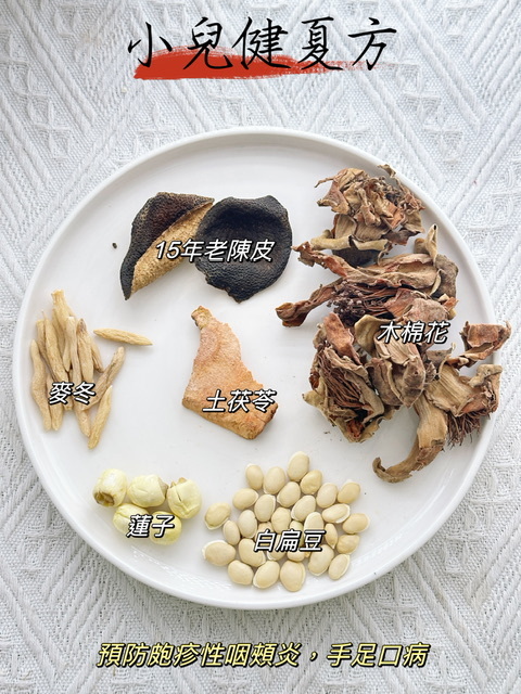 小兒健夏方（🧒🏻兒童保健湯包） -2500762