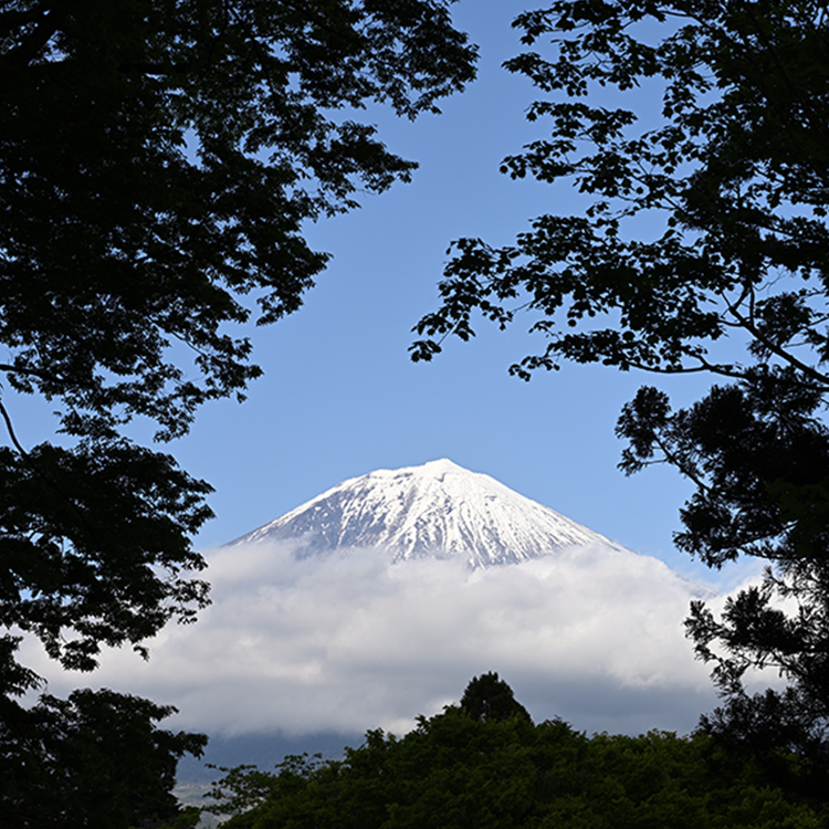 NIKKOR Z 70-180mm f/2.8