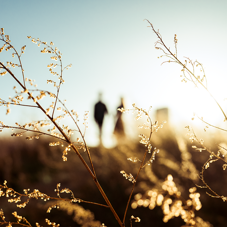 NIKKOR Z 40mm f/2（SE）