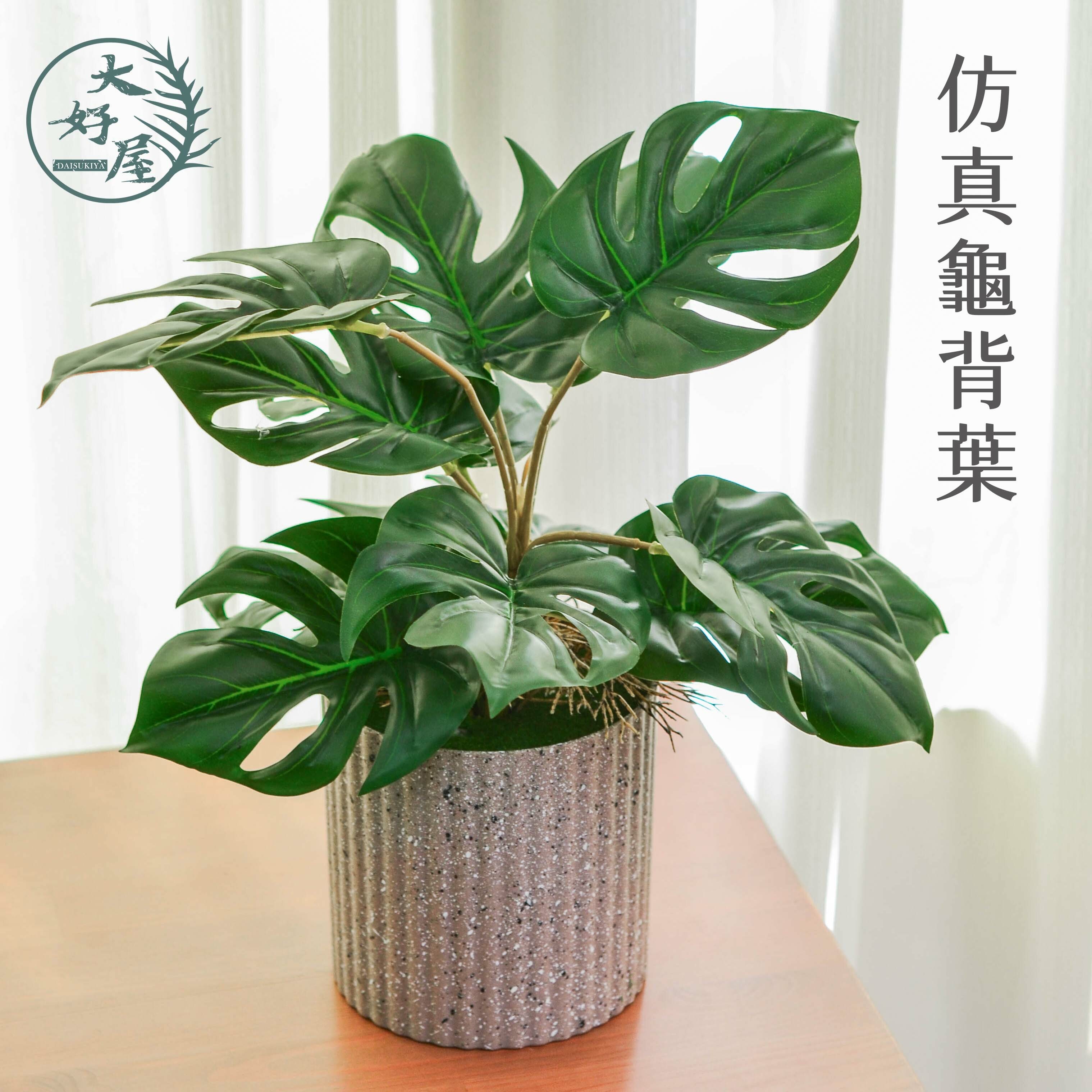 仿真龜背葉 (多叉、植栽)