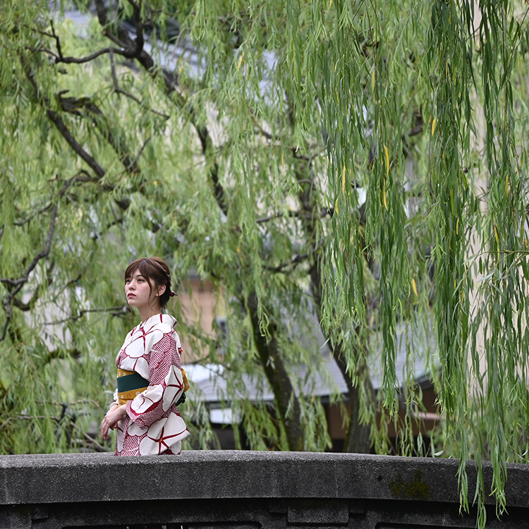 NIKKOR Z DX 50-250mm f/4.5-6.3 VR