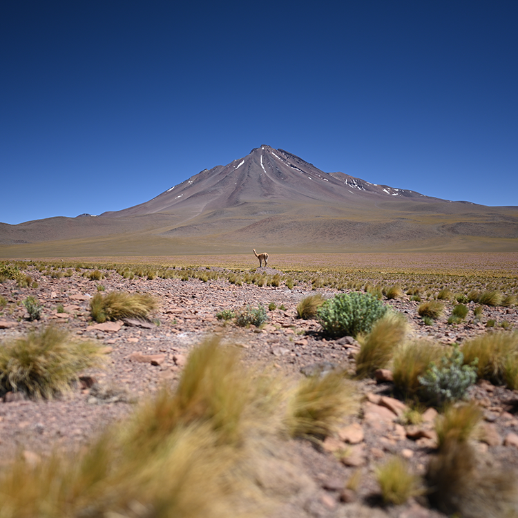 NIKKOR Z 20mm f/1.8 S