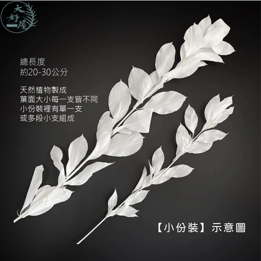 【網】永生玉竹葉【小份】