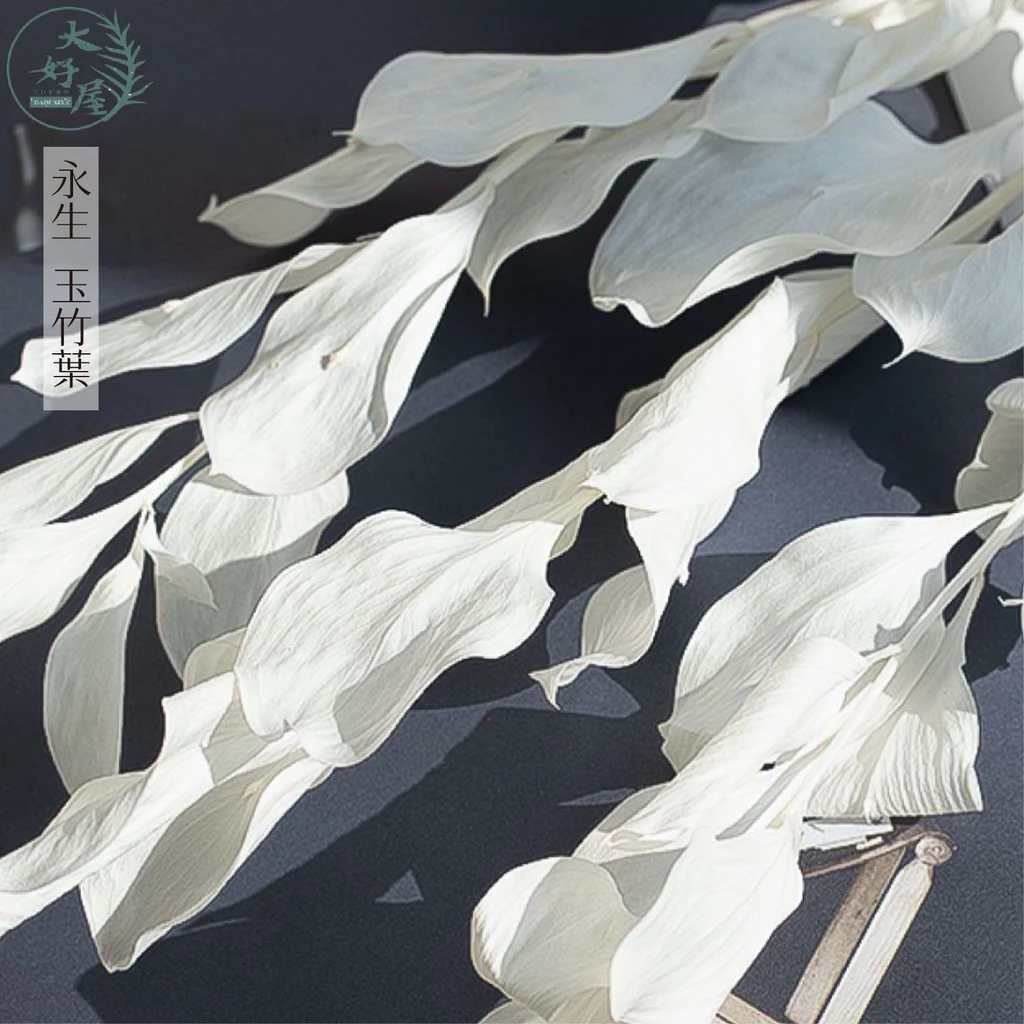 【網】永生玉竹葉【小份】