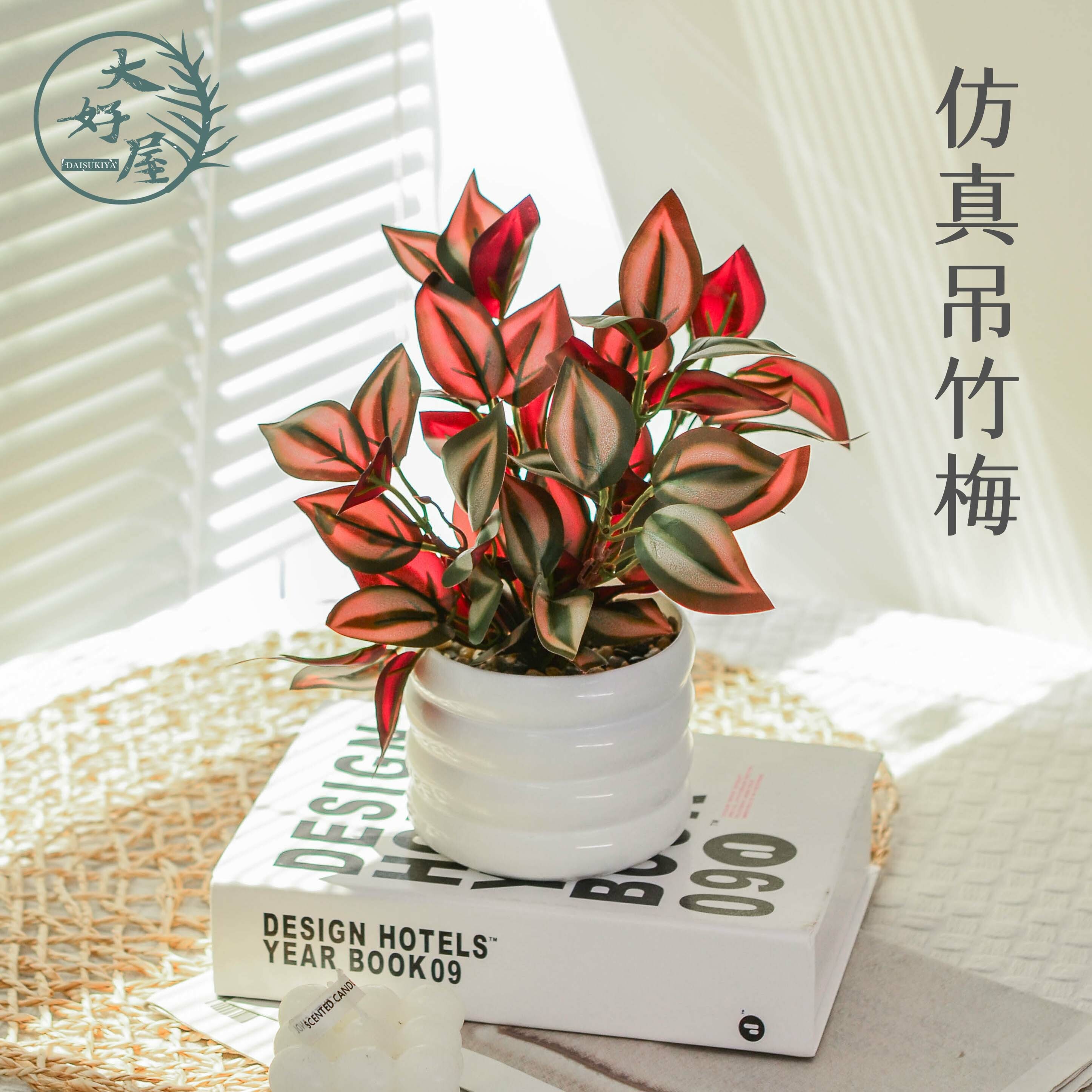 仿真吊竹梅 (吊竹草)