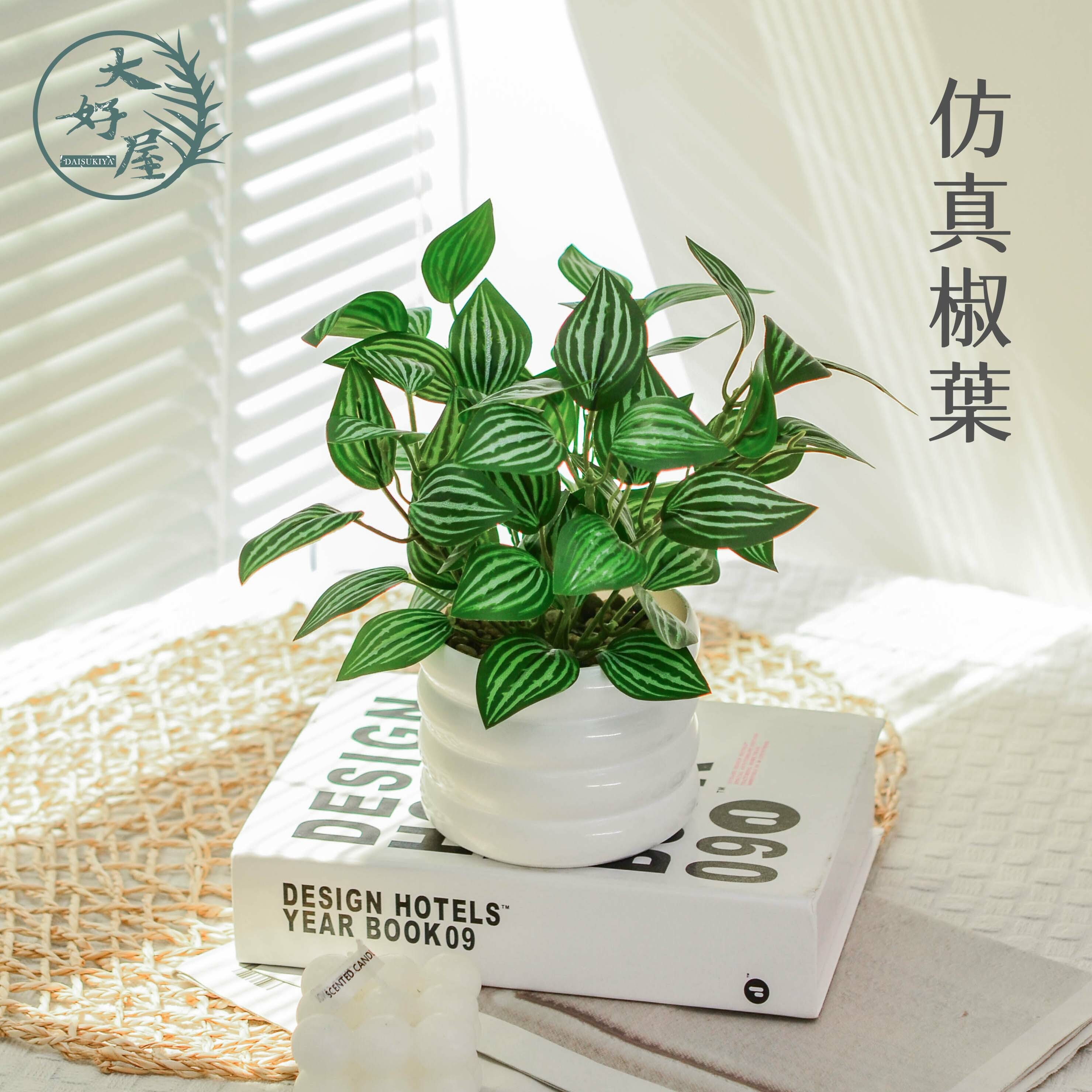 仿真白脈椒葉(椒草)