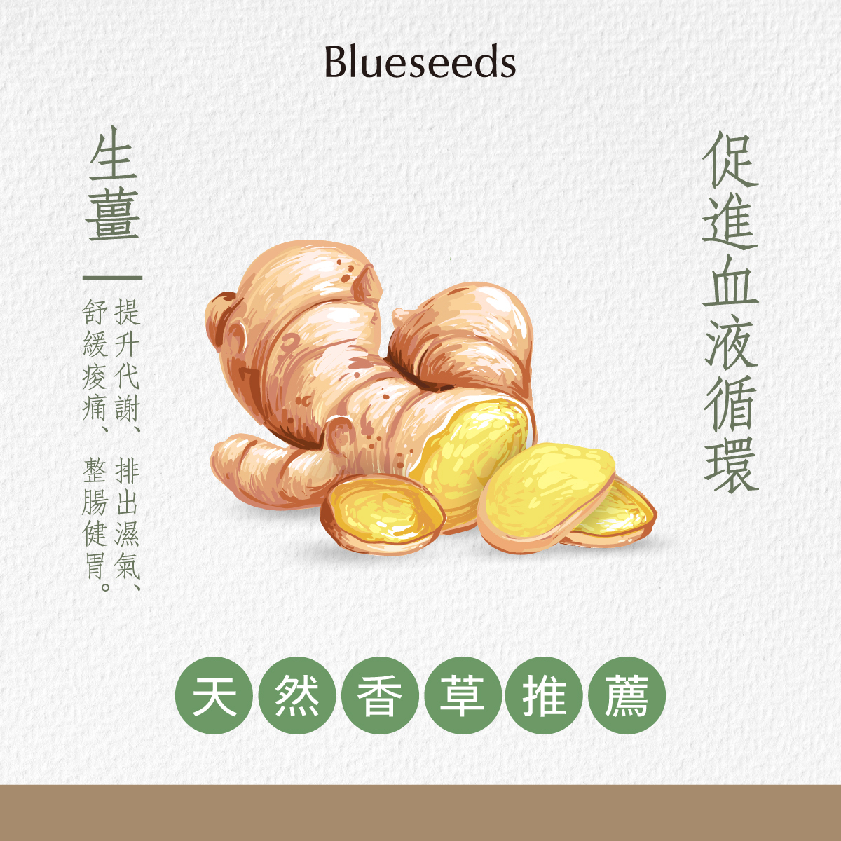 節氣 清明 生薑