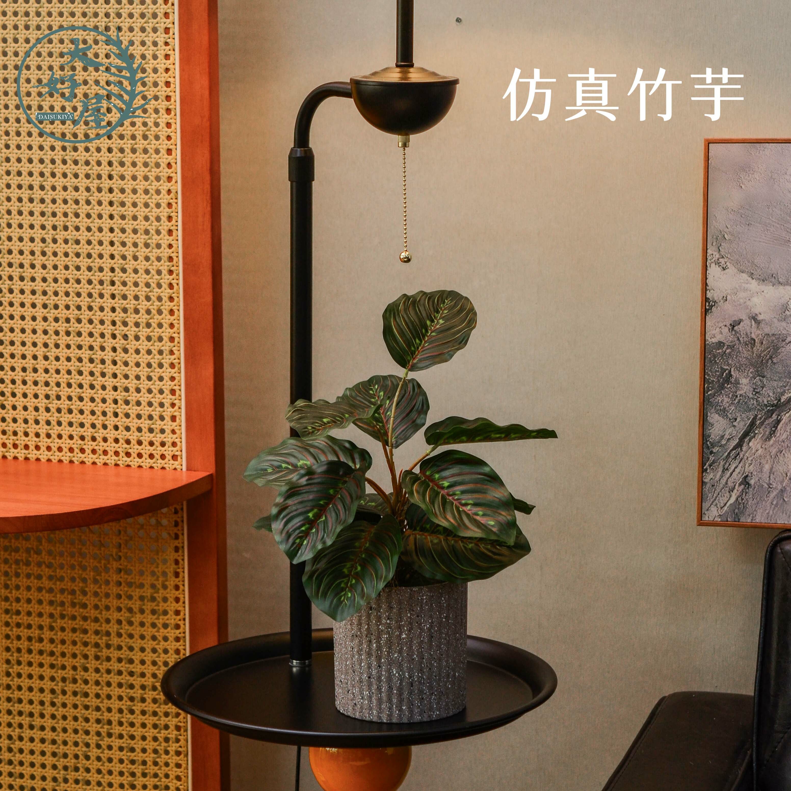 仿真孔雀竹芋 (觀葉、海芋)