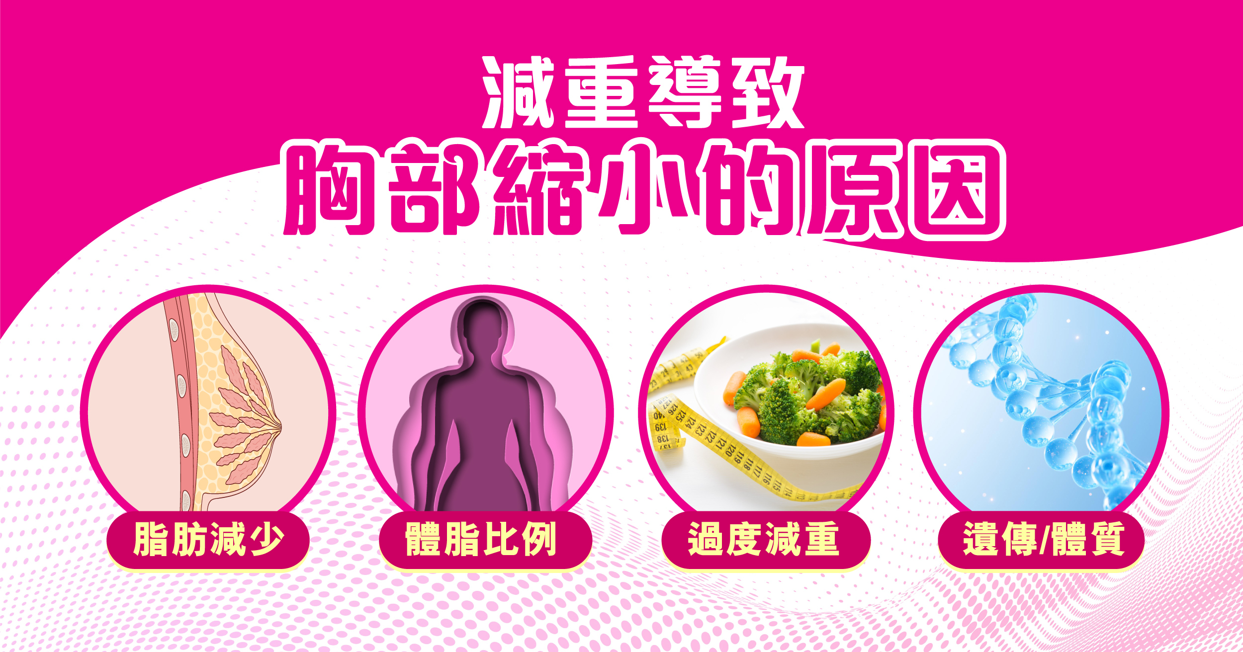 減重導致胸部縮小的原因：胸部脂肪減少／體脂比例下降／過度快速減重／遺傳與個人體質差異