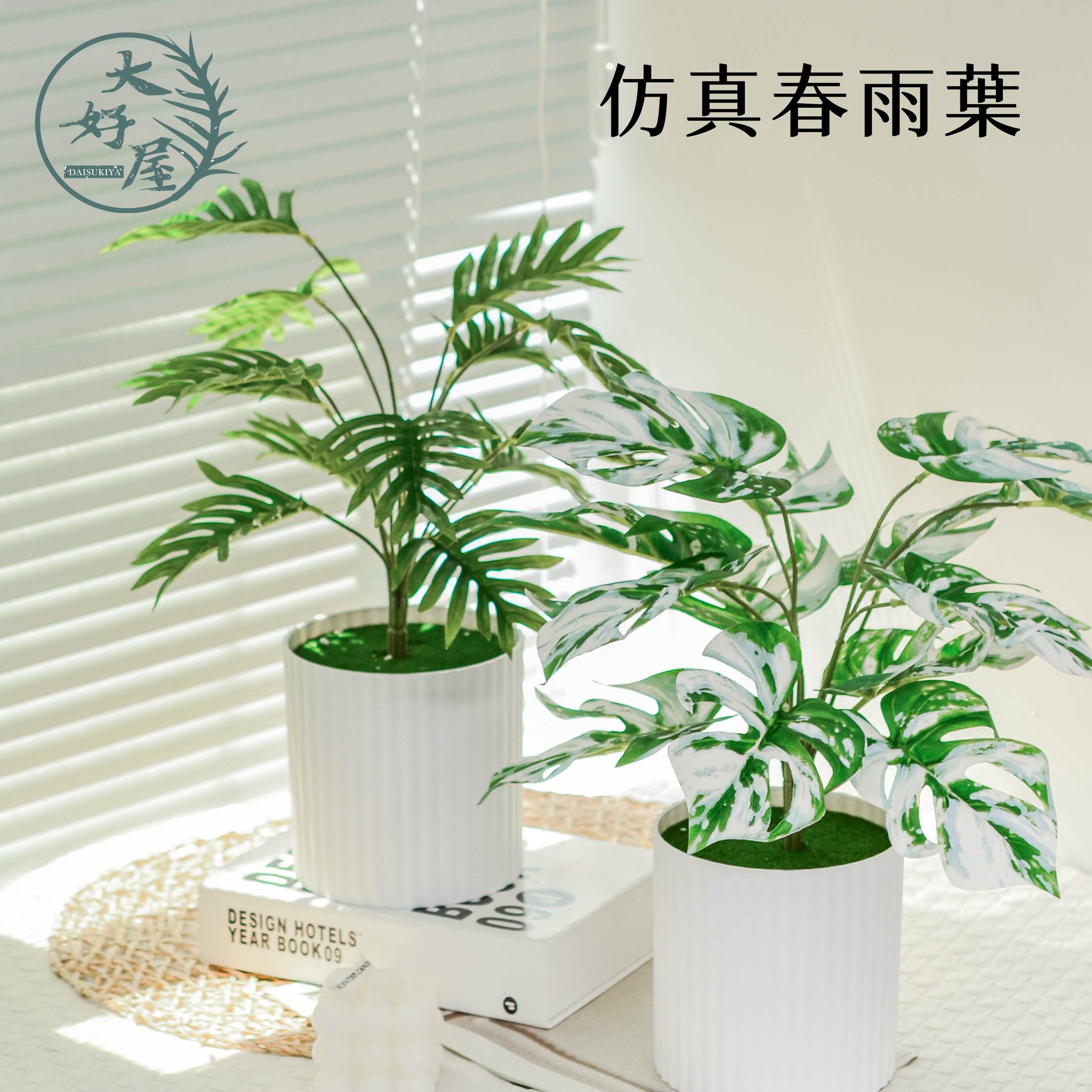 仿真春雨葉 (滴水觀音)