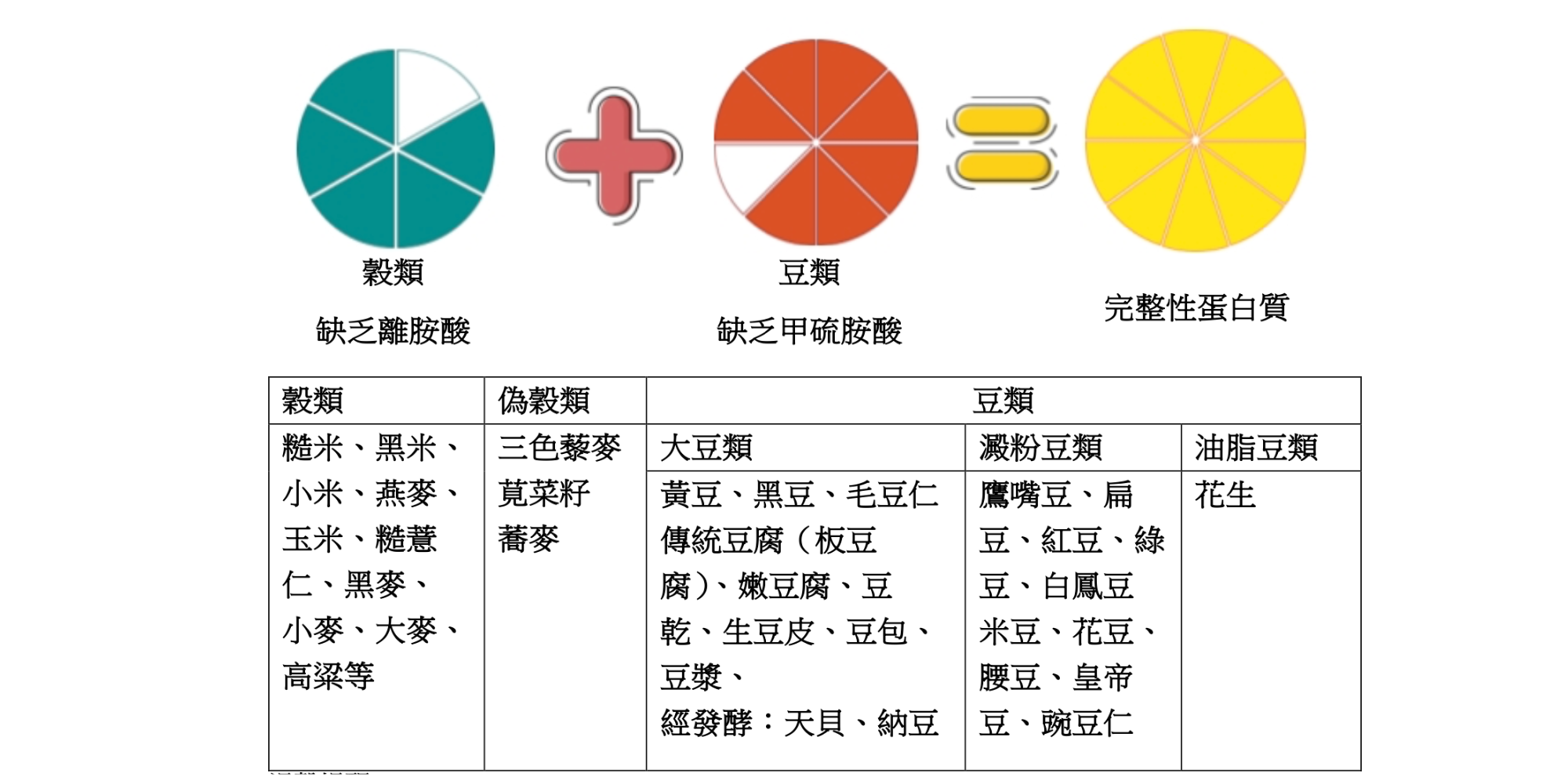 素食蛋白質