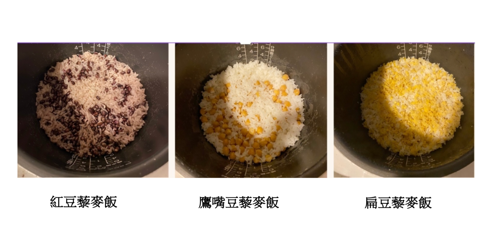 素食蛋白質