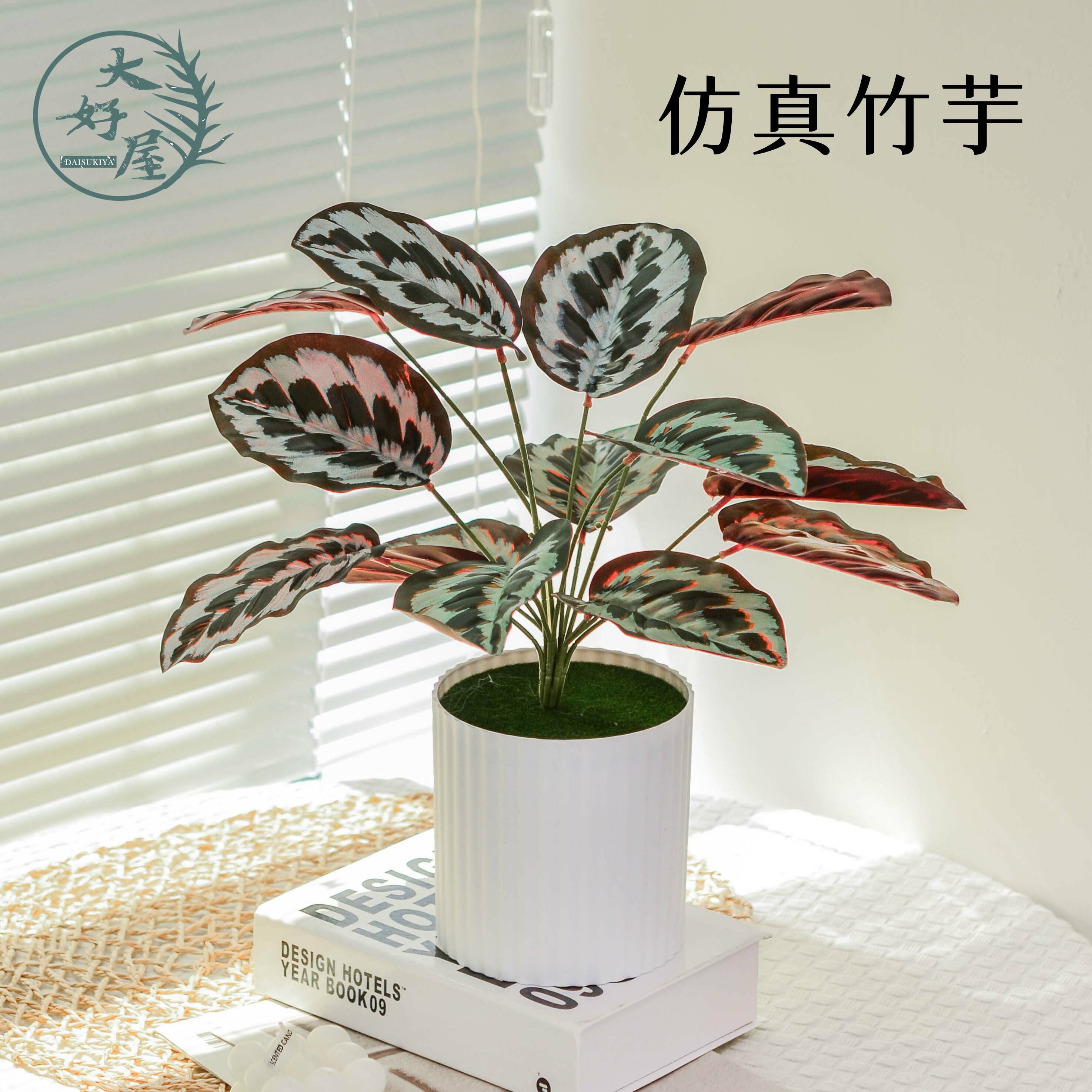 仿真孔雀竹芋 (觀葉、海芋)