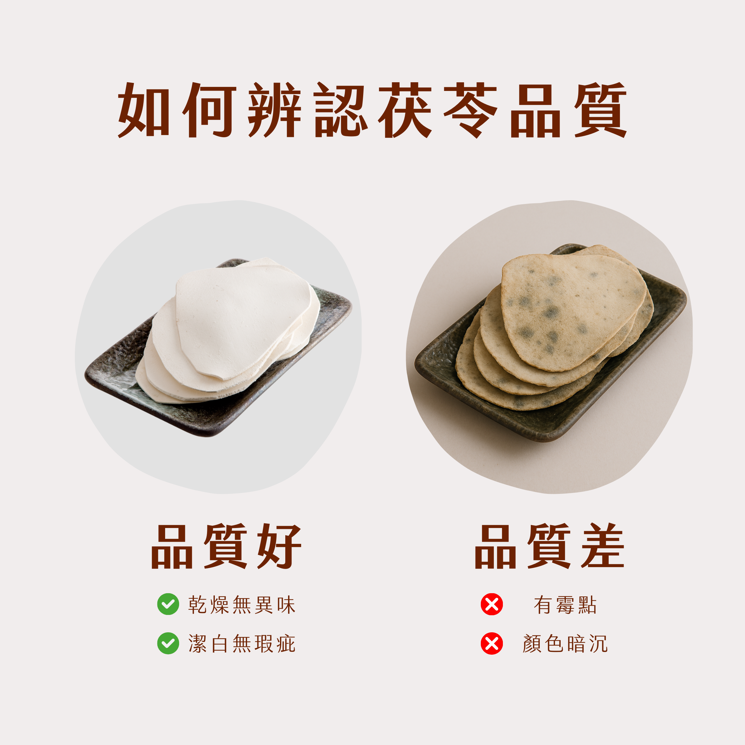 如何辨認茯苓品質