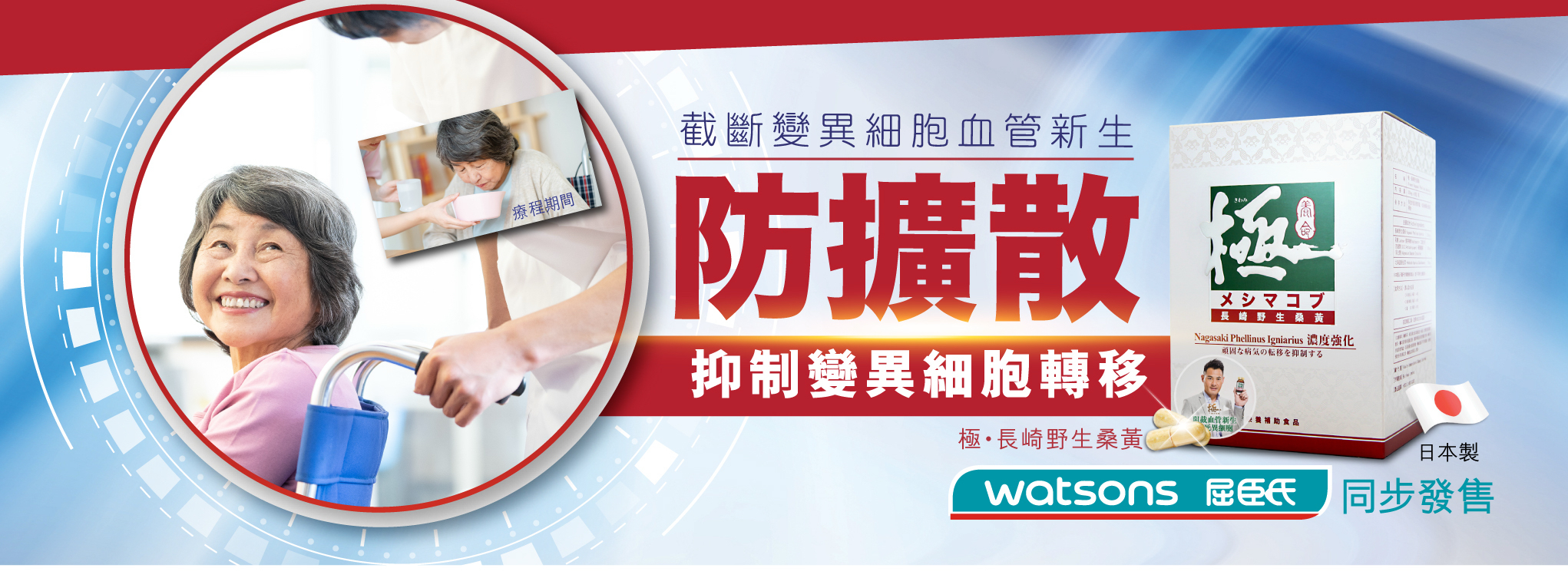 極•長崎野生桑黃 防擴散 抑制變異細胞轉移