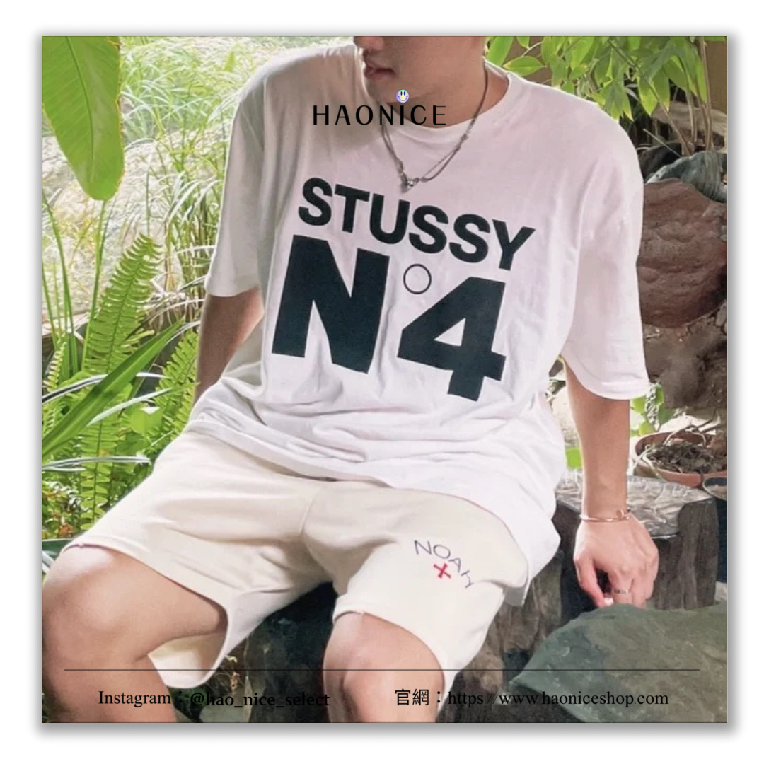 【HAO NICE 】美國🇺🇸街頭潮流 Stussy 24SS 春夏新款 經典復刻大N4 LOGO 美式復古風🈵🈵 百搭短T