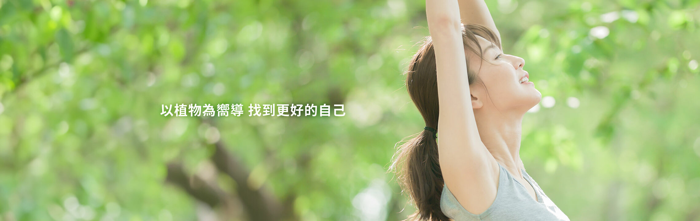 “森之覓淨系列”