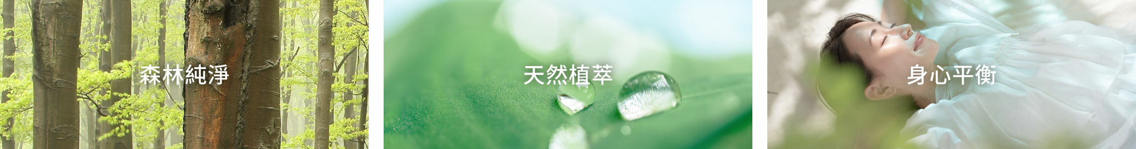 “森之覓淨系列”