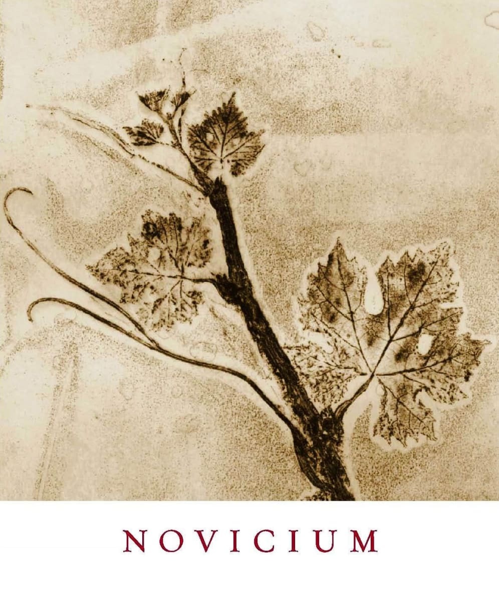 Continuum Novicium 2019 (JS96)