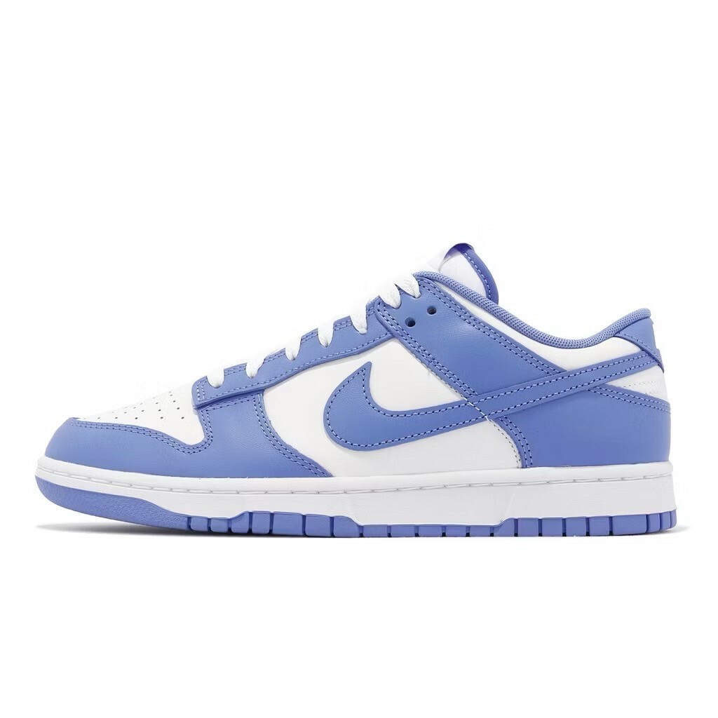 Nike Dunk Low Polar Blue 北極藍 男鞋 女鞋 DV0833-400