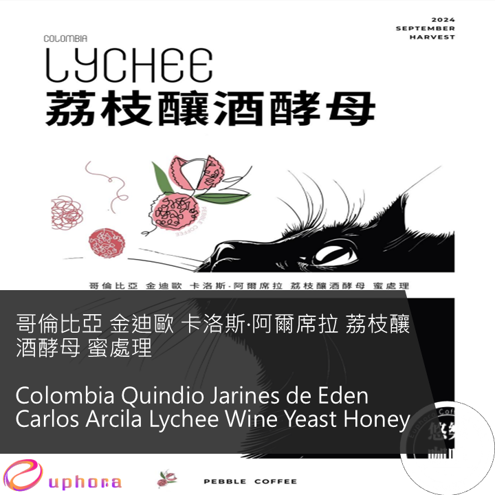哥倫比亞 金迪歐 卡洛斯·阿爾席拉 荔枝釀酒酵母 蜜處理