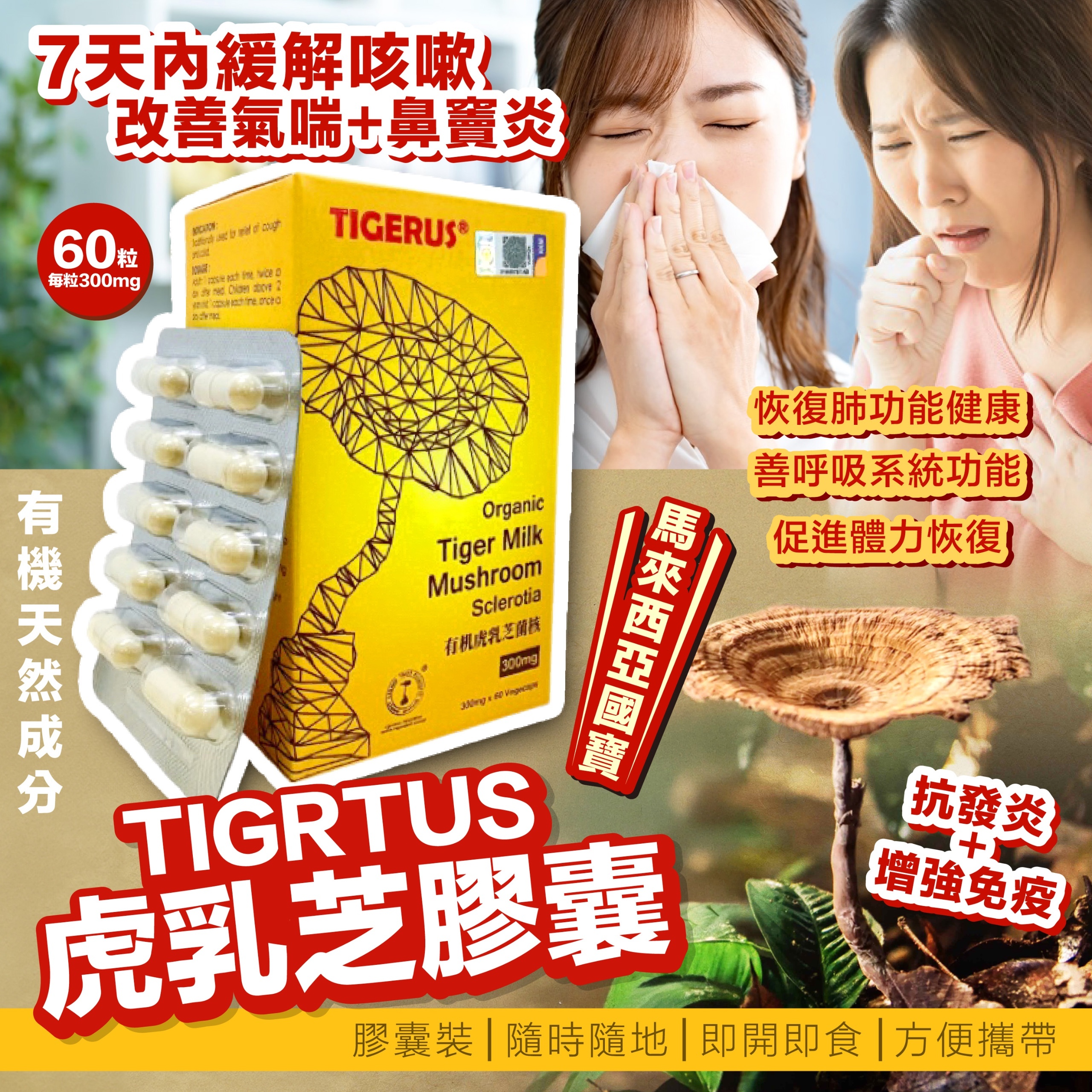 馬來西亞 TIGERUS 有機虎乳芝膠囊