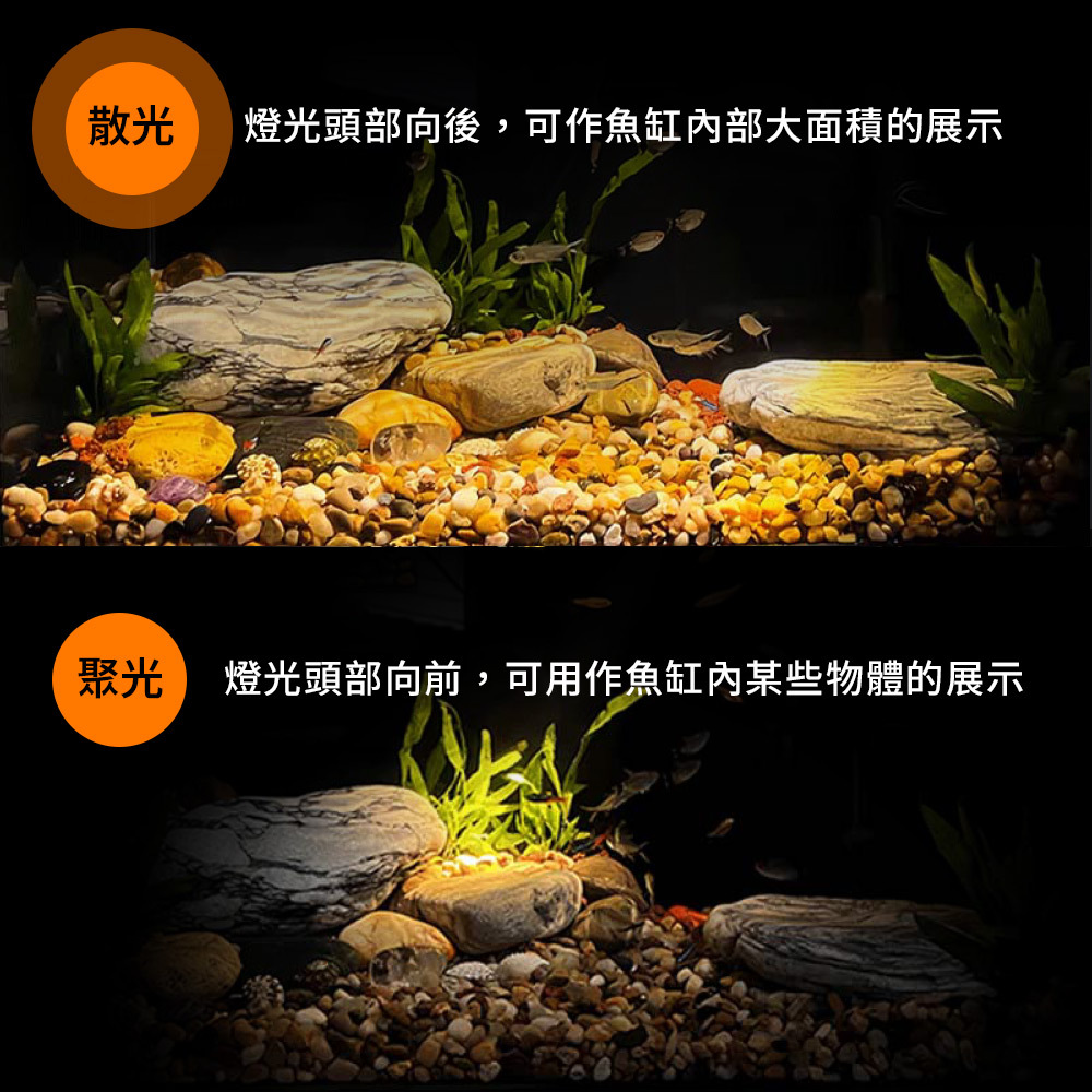 針對造景有不同氣氛變化