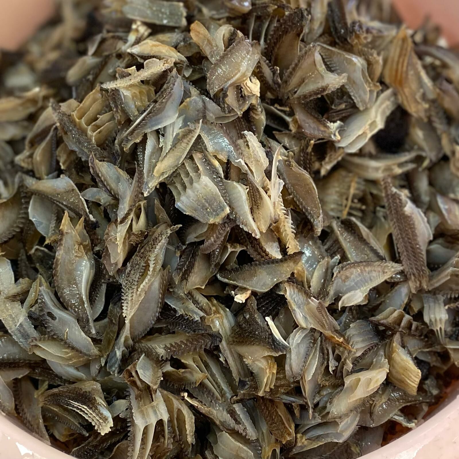 浸發膨魚腮 (454克)