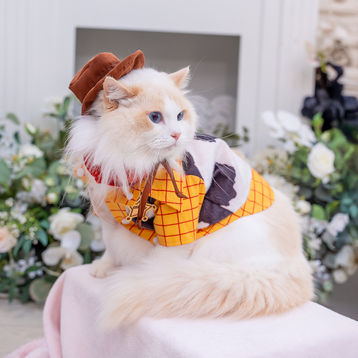 Disney Toy Story's Woody Costume