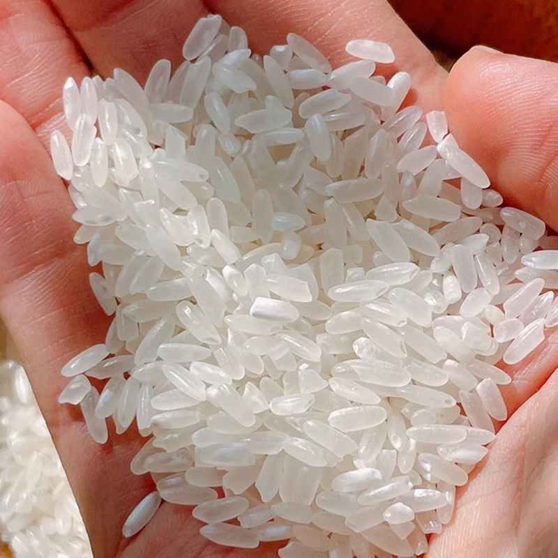 Qiantangdi - High-quality first-class Wuchang rice, Daohuaxiang No. 2, 1 kg vacuum package, 1KG Wuchang rice, Wuchang rice, Northeast rice, Northeast rice, authentic Daohuaxiang, Northeast specialty, Northeast pearl rice, fragrant rice, this year's 2025 new rice, family pack, fragrant and delicious, distinct grains, rich rice aroma (P4026)
