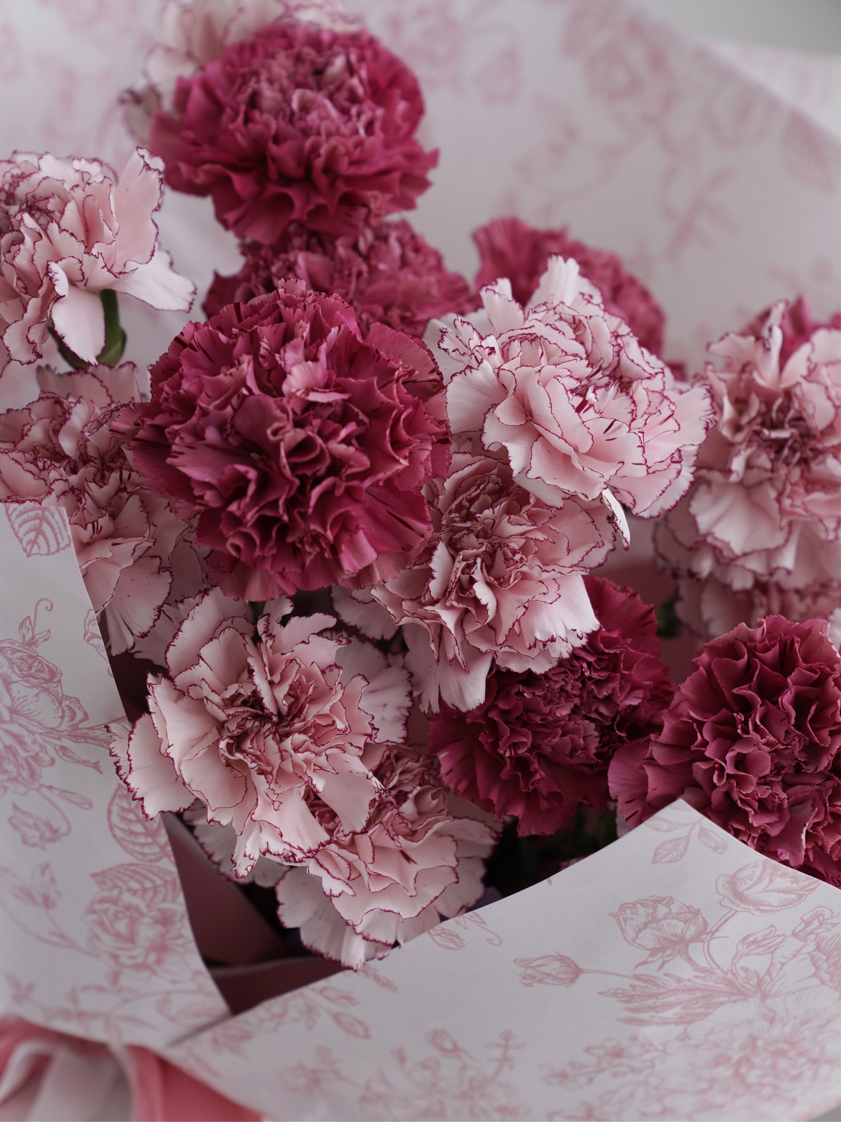 滿滿的康乃馨花束-藕紫 / XL /(非季節)