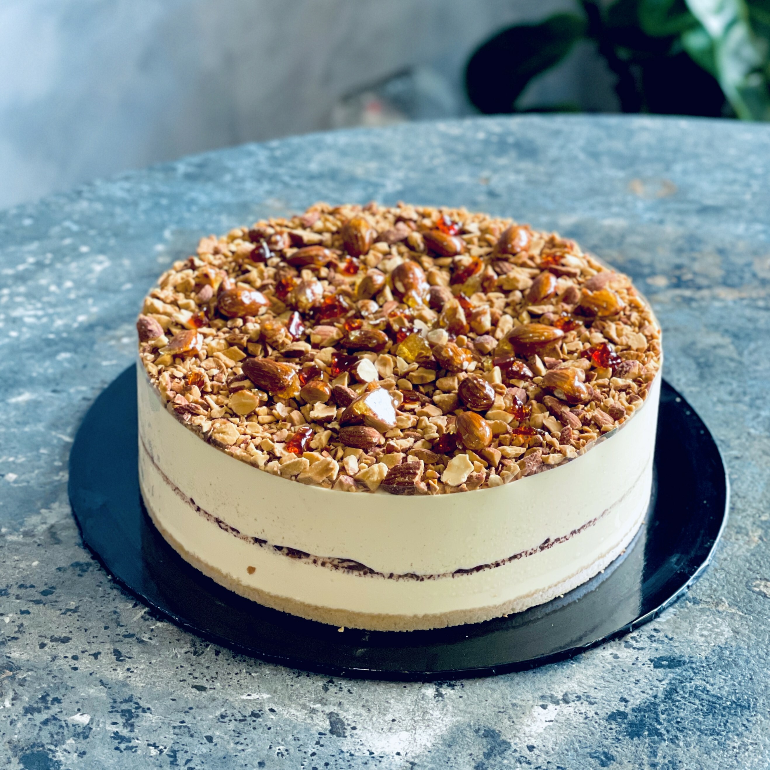 Almond Classic Tiramisu - 8" Whole Cake