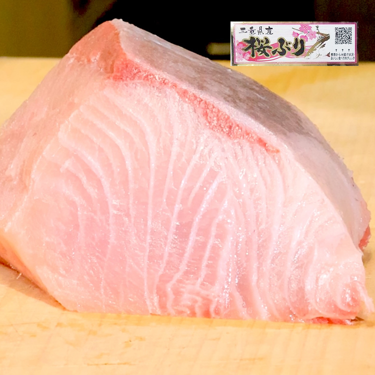 櫻鰤さくらぶり