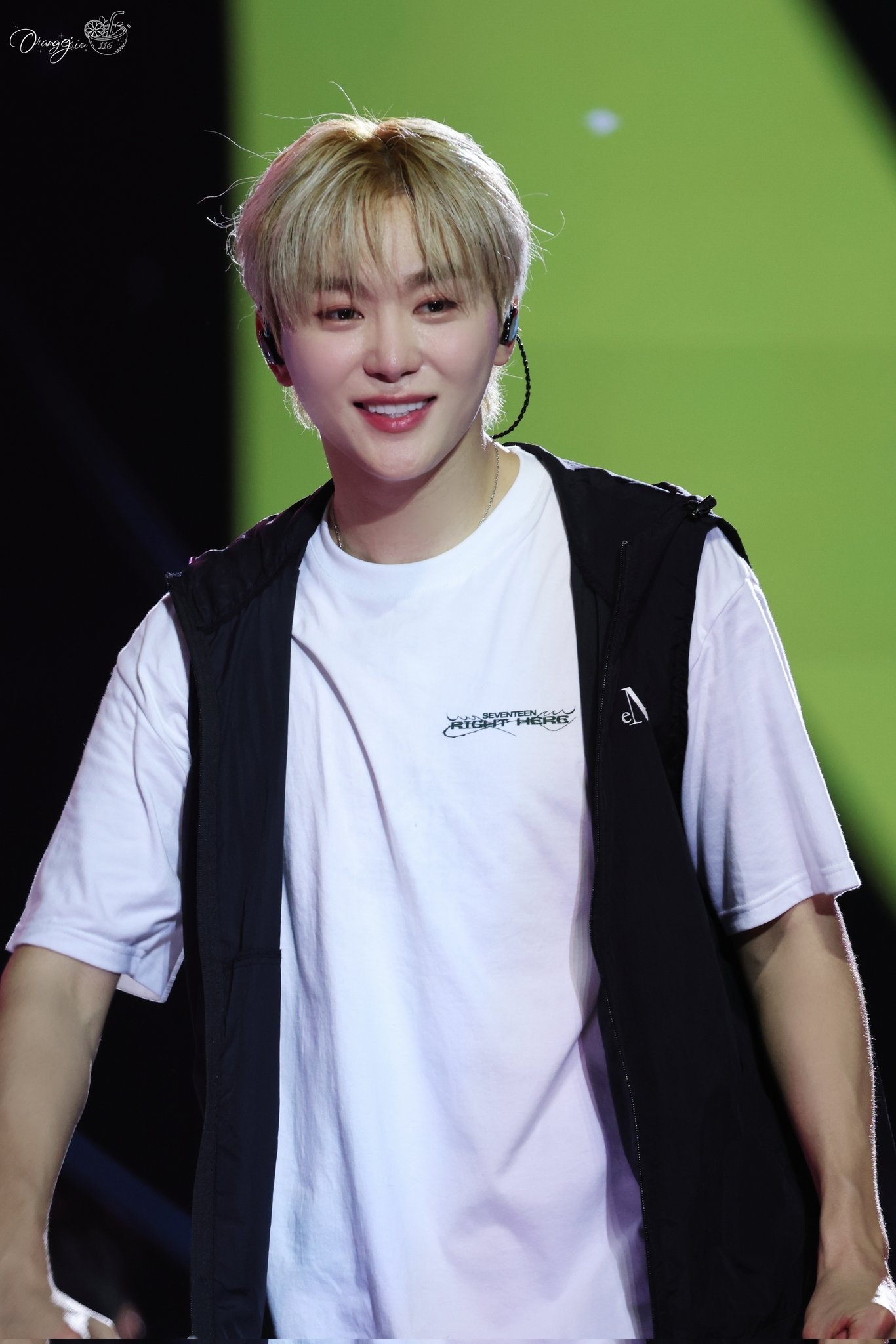 MUCENT TECH NYLON HOOD VEST