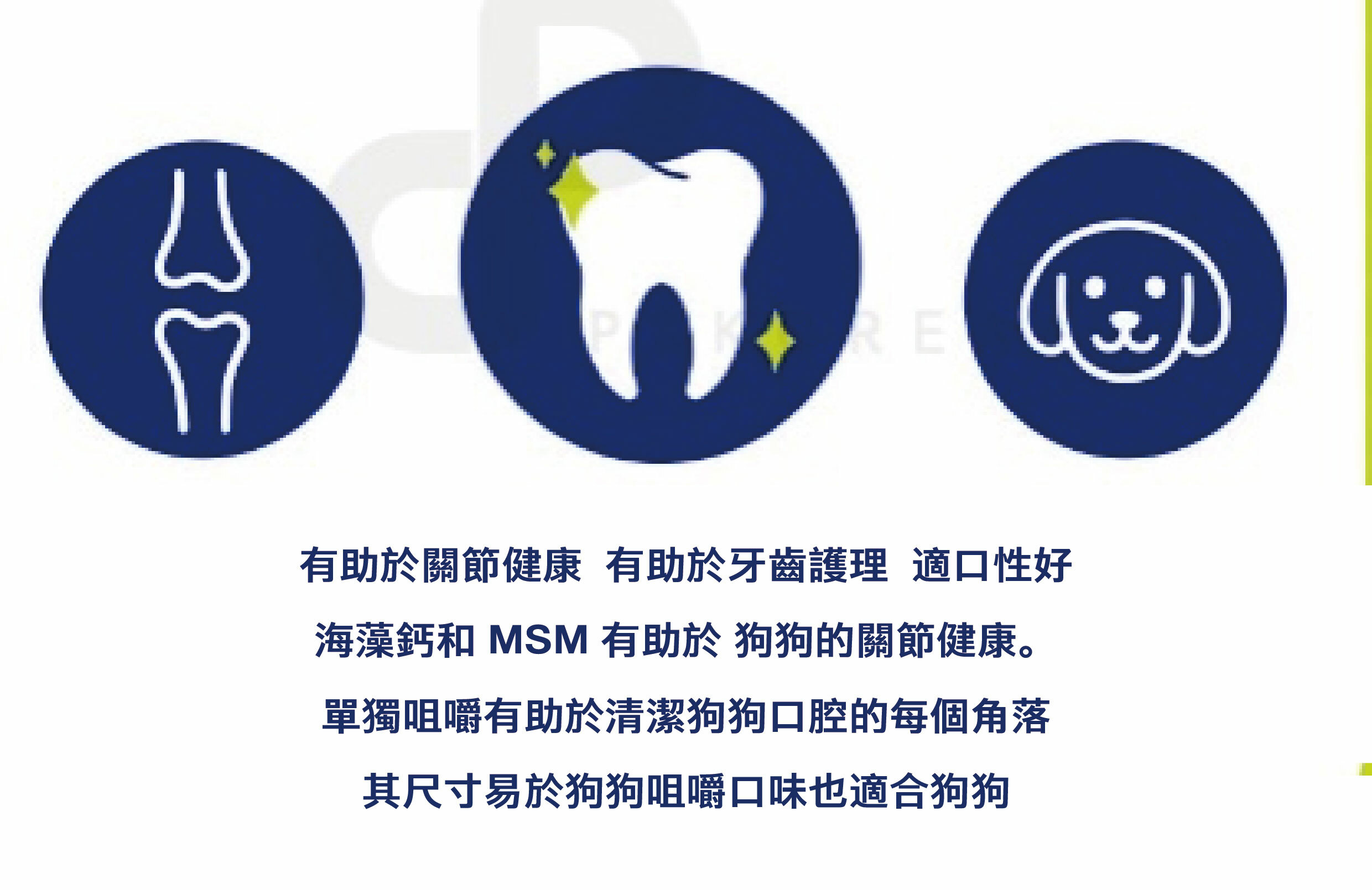 韓國汪用潔牙骨 Lucky Bar 藍莓口味