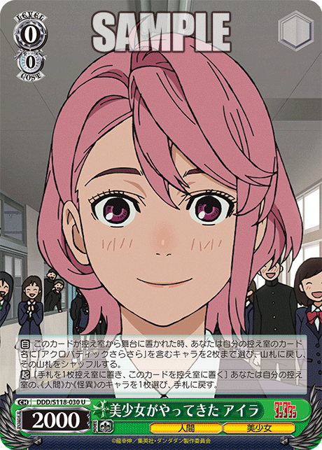 【DDD/S118-030 U】美少女がやってきた アイラ